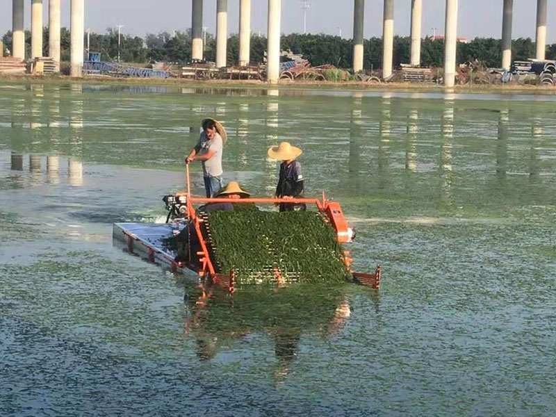 简易泡沫割草船